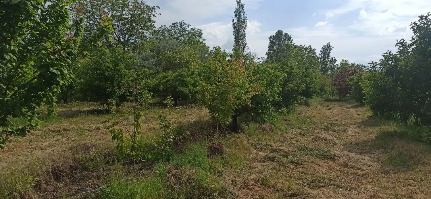 باغ در بناب مرند
