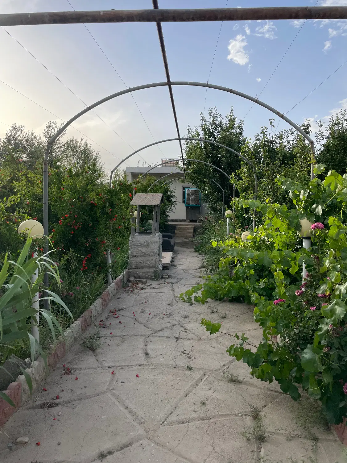 ۶۱۰متر باغ آماده (ارمبویه)