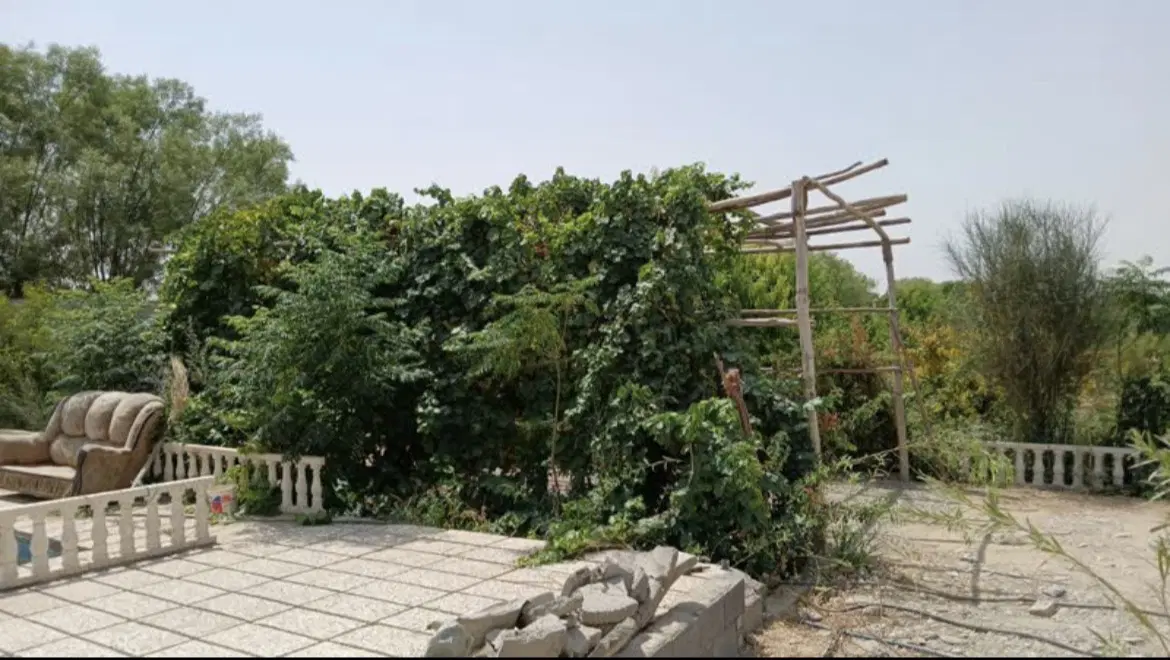 باغ در یوسف رضا