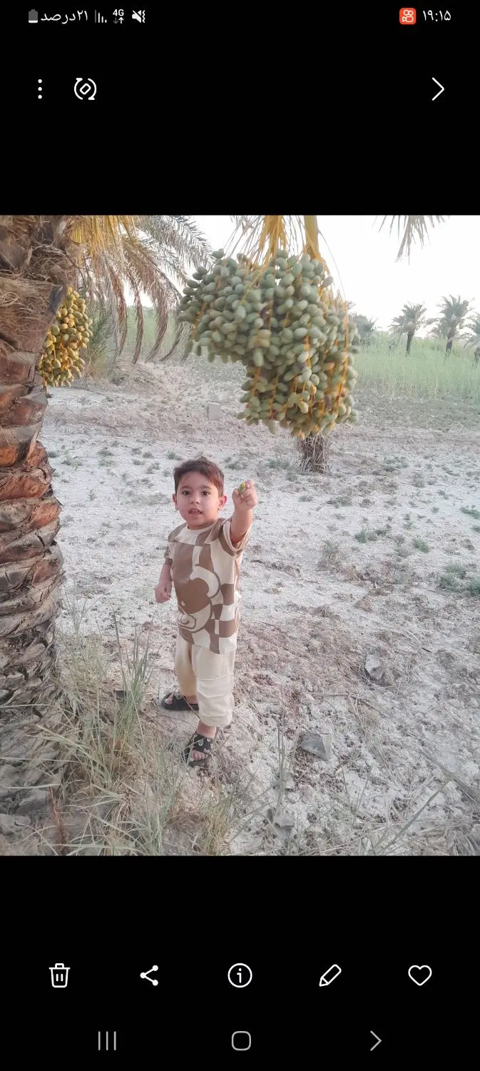 زمین