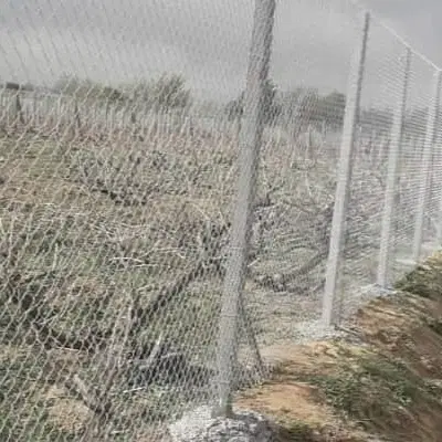 زمین باغ ۱۵۰۰ متری سند تکبرگ ۲ نبش تاکستان