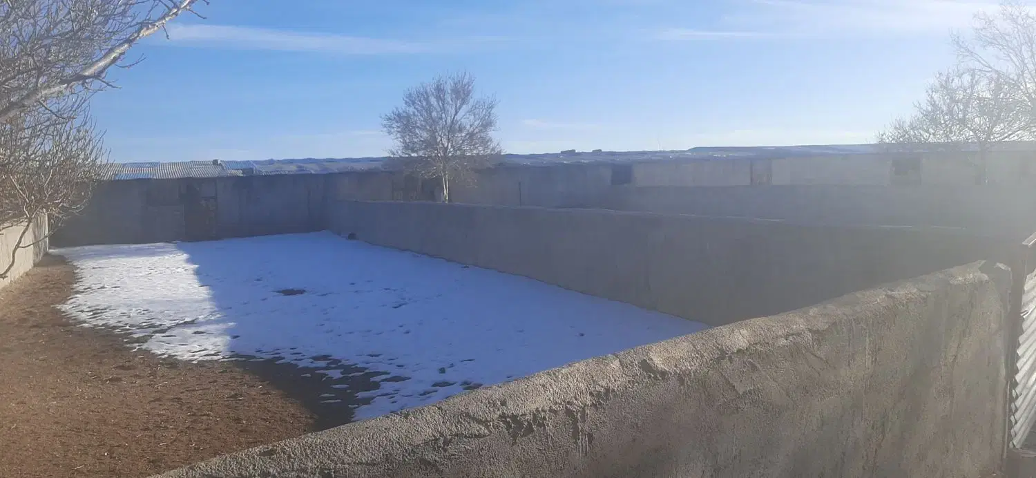 مشارکت در پروار بندی بره