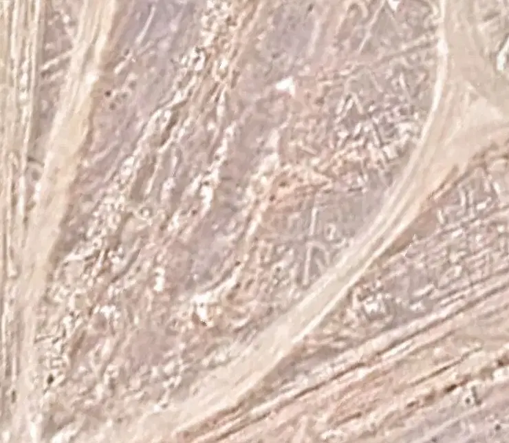 فروش زمین