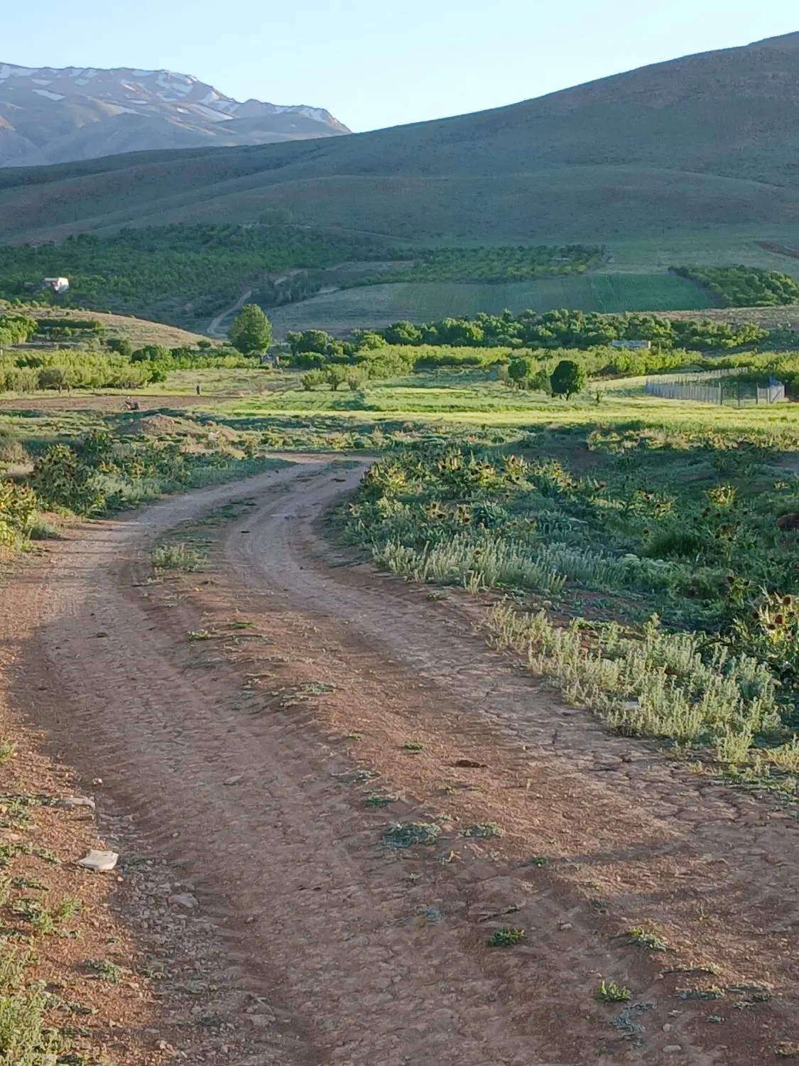 زمین مسکونی نزدیک تالاب گندمان
