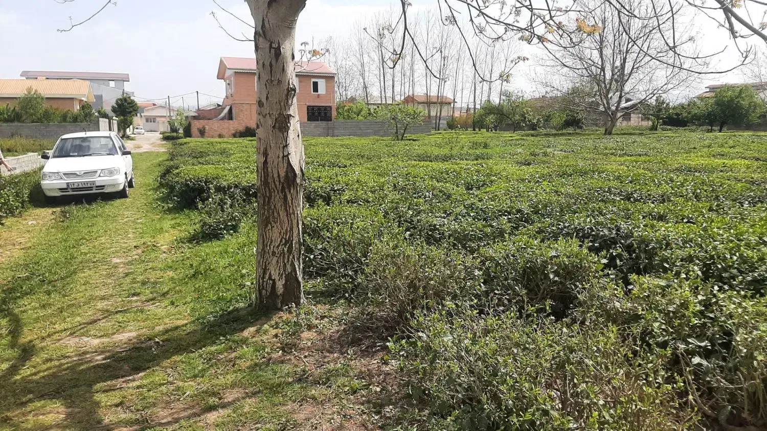 ۹۰۳متر زمین در بازکیاگوراب