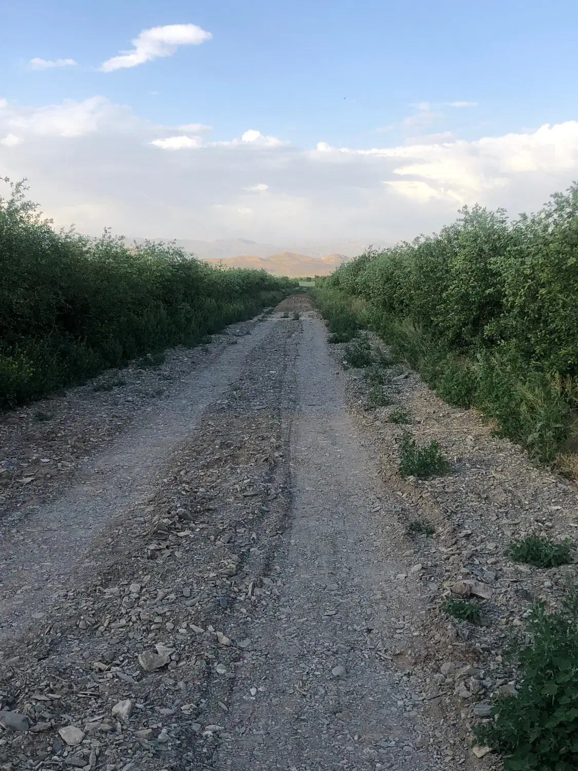 هزار متر از بهشت