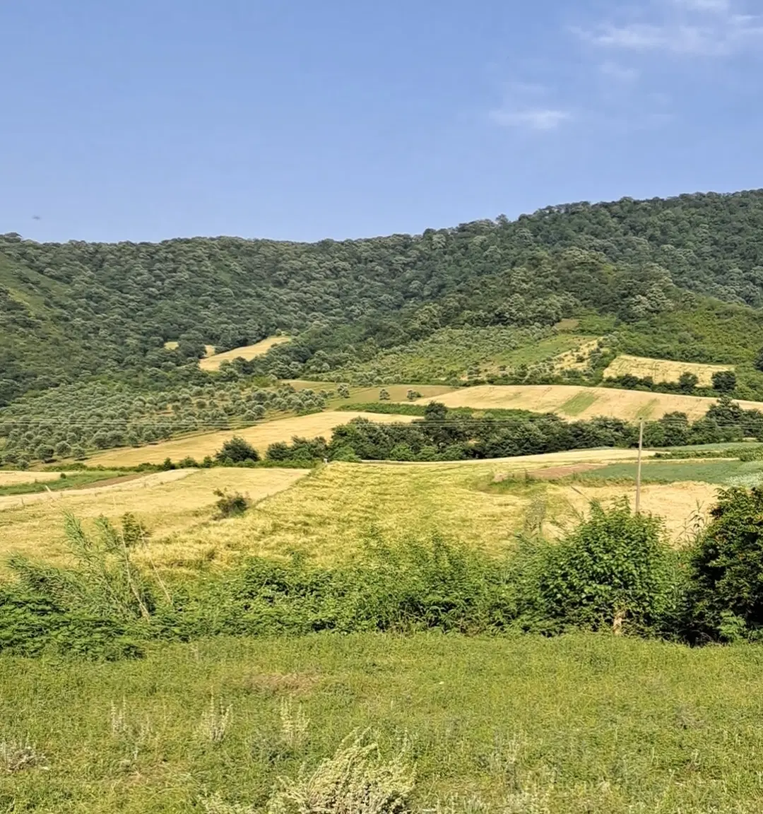 یک‌هکتارونیم زمین دیم در روستای مرزبن