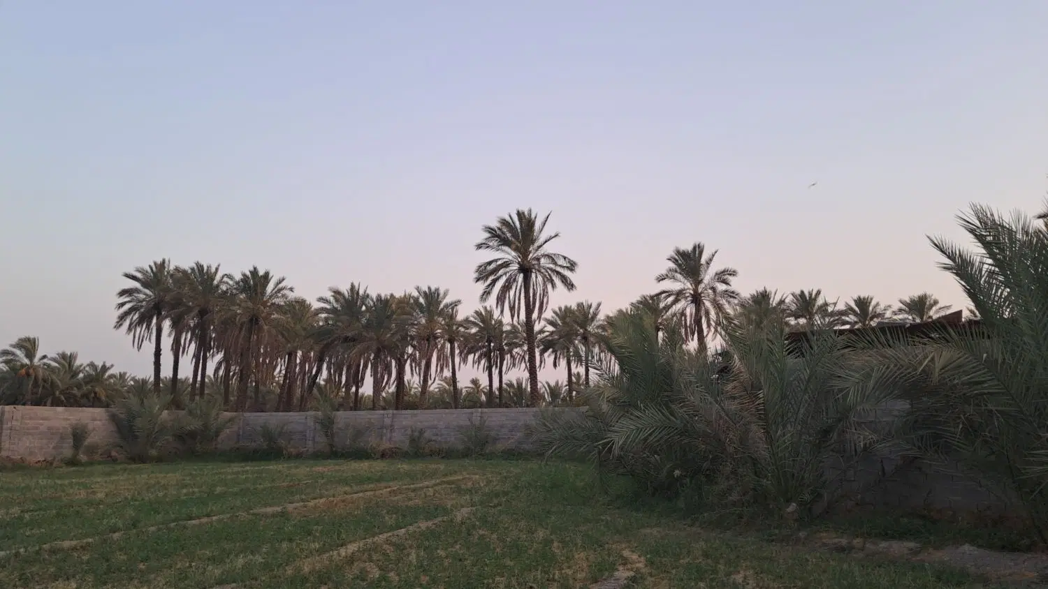 زمین معاوضه با ماشین