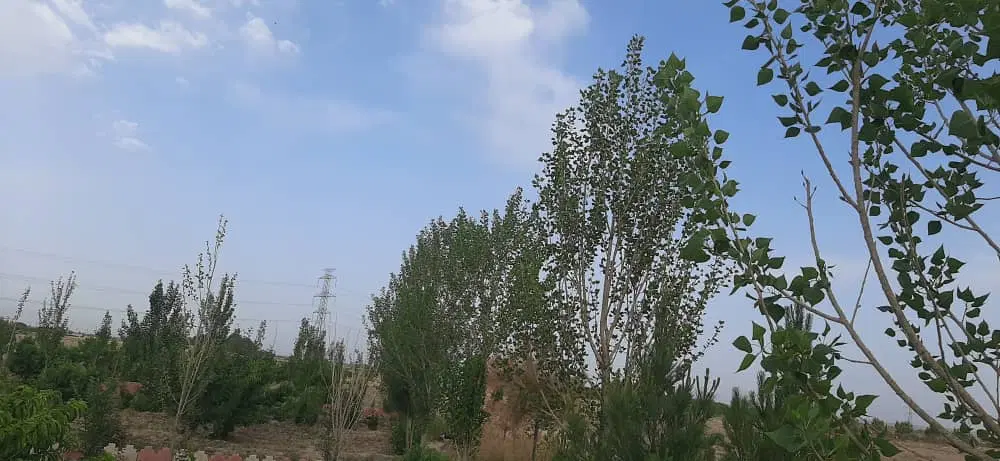 باغچه درتنکمان کرج حصارک نظراباد