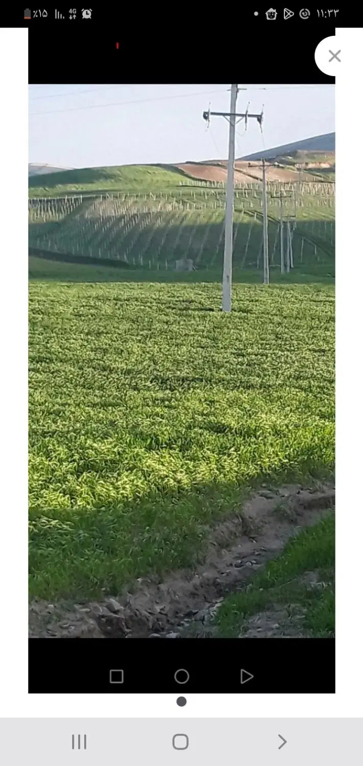 امتیاز زمین دادگستری (زندانها)
