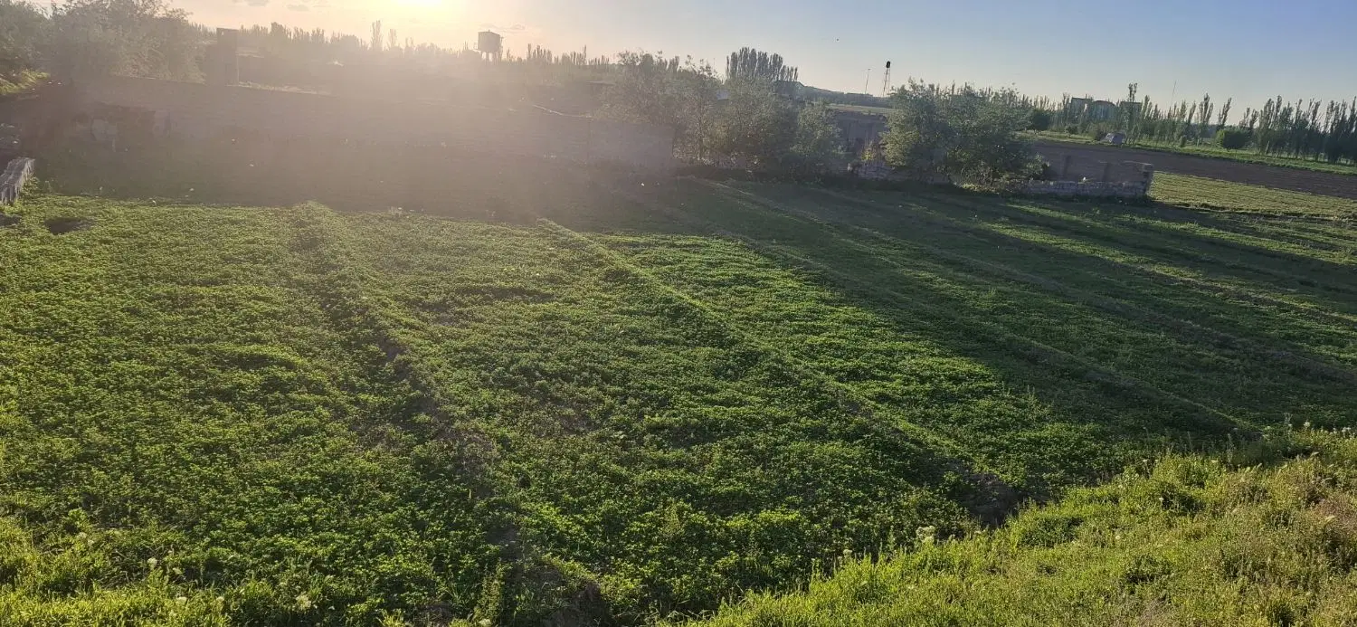 زمین کشاورزی مناسب خانه باغ