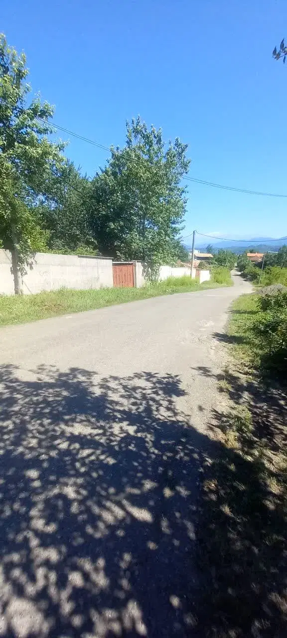 ویلای جنگلی