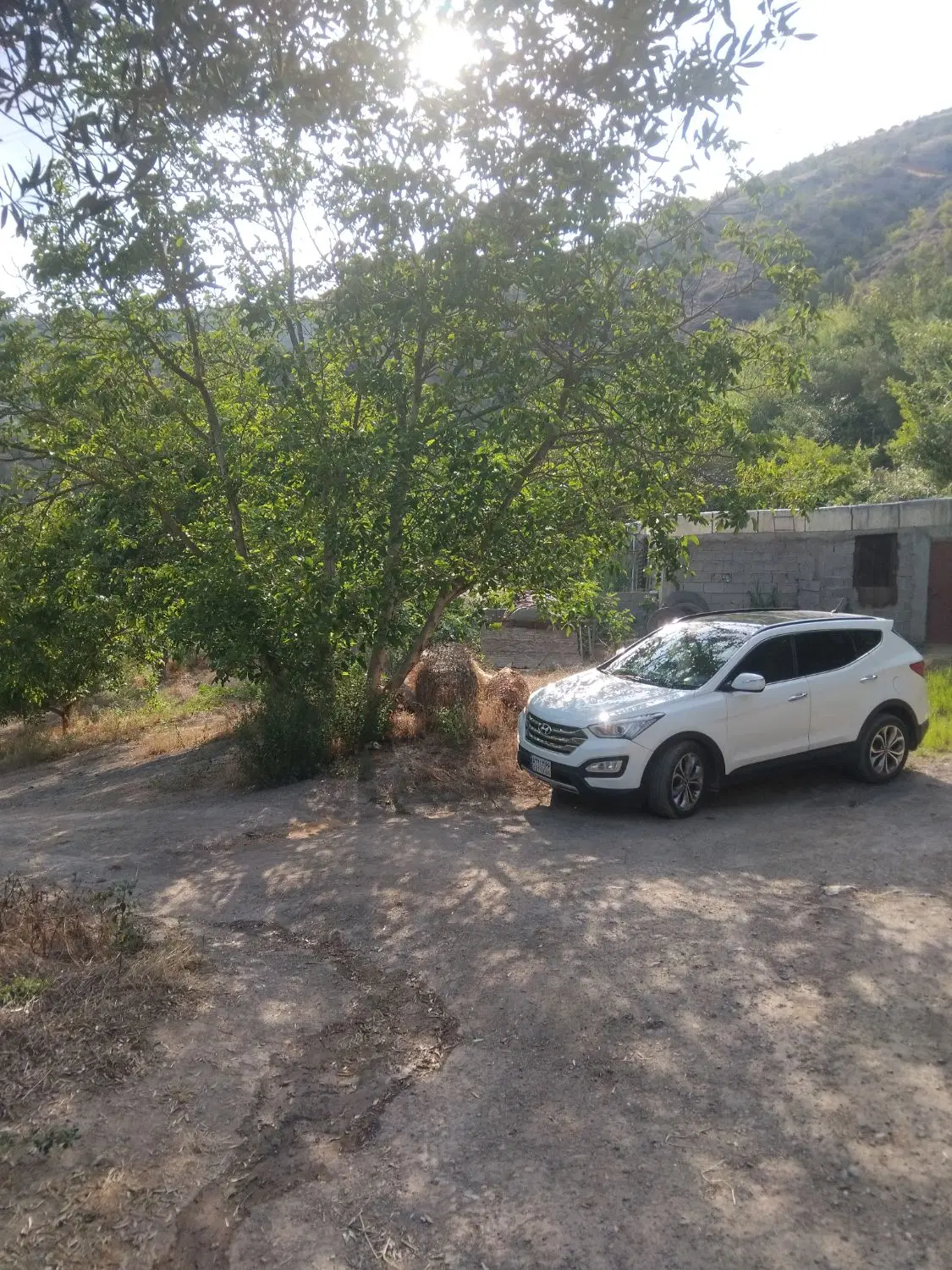 فروش زمین مسکونی و باغی به متراژ ۱۵هزار متر