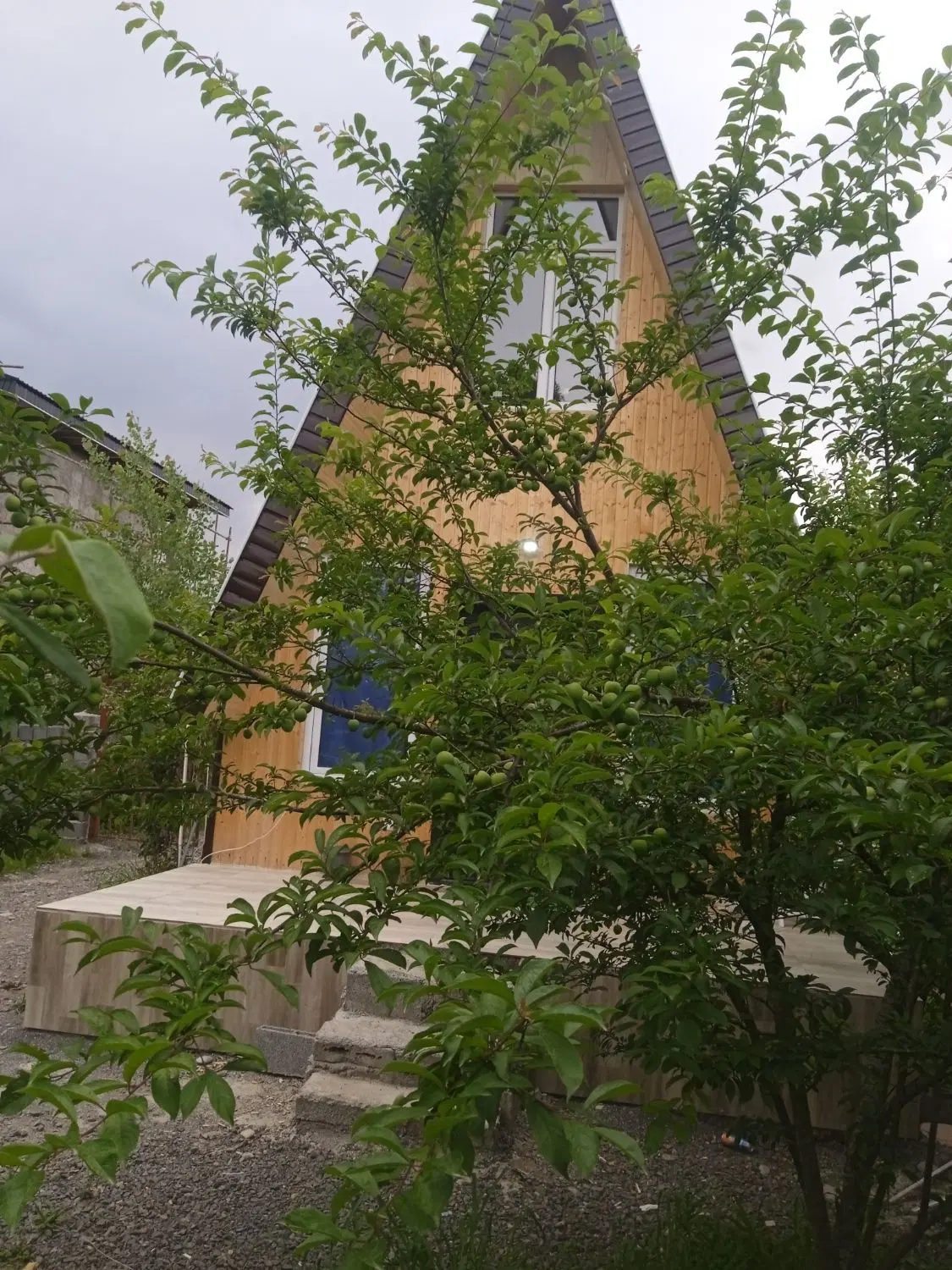 کلبه سویسی جنگلی