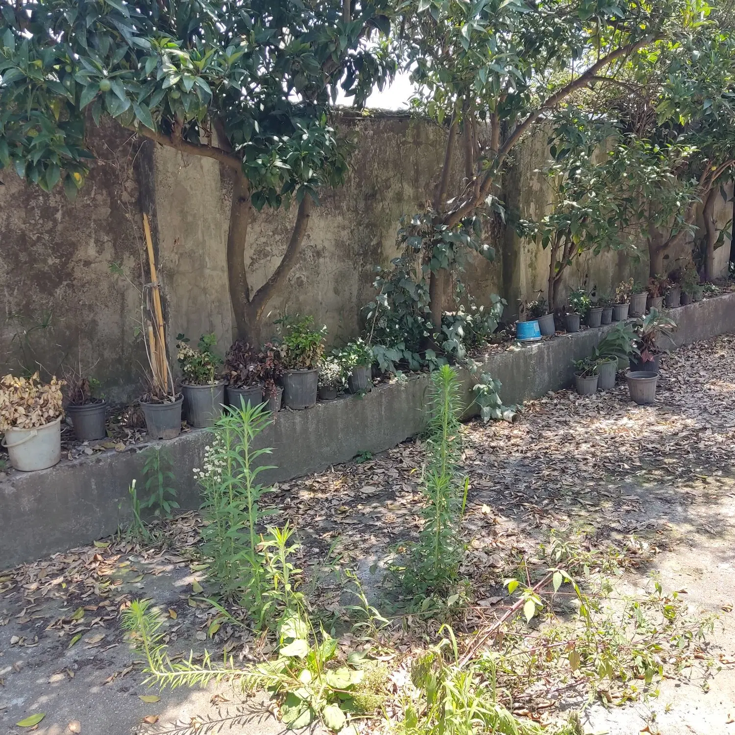720زمین با 350متر واحد مسکونی