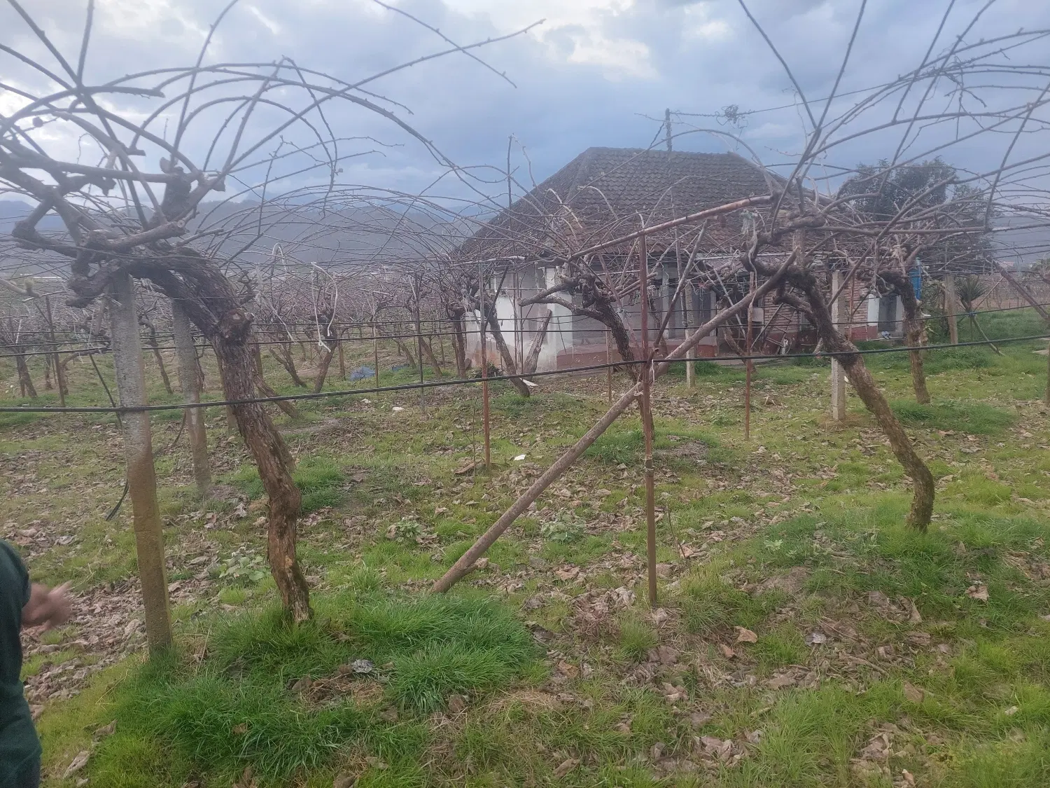 زمین ویلای با خانه کلنگی قابل استفاده