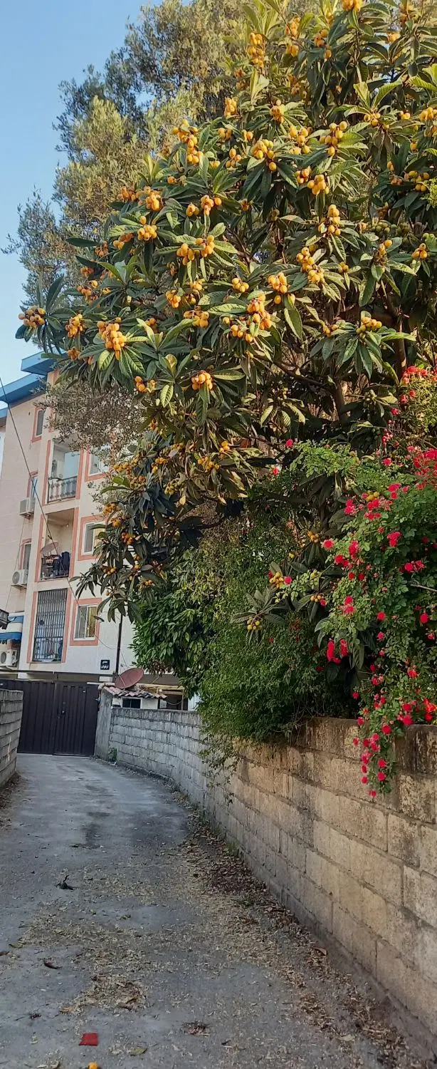 فروش آپارتمان سندتک برگ