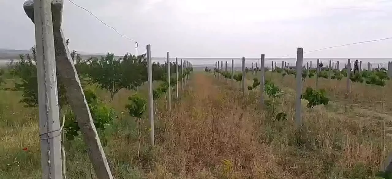 باغچه به قیمت زمین خالی در روستای کنعان ایل