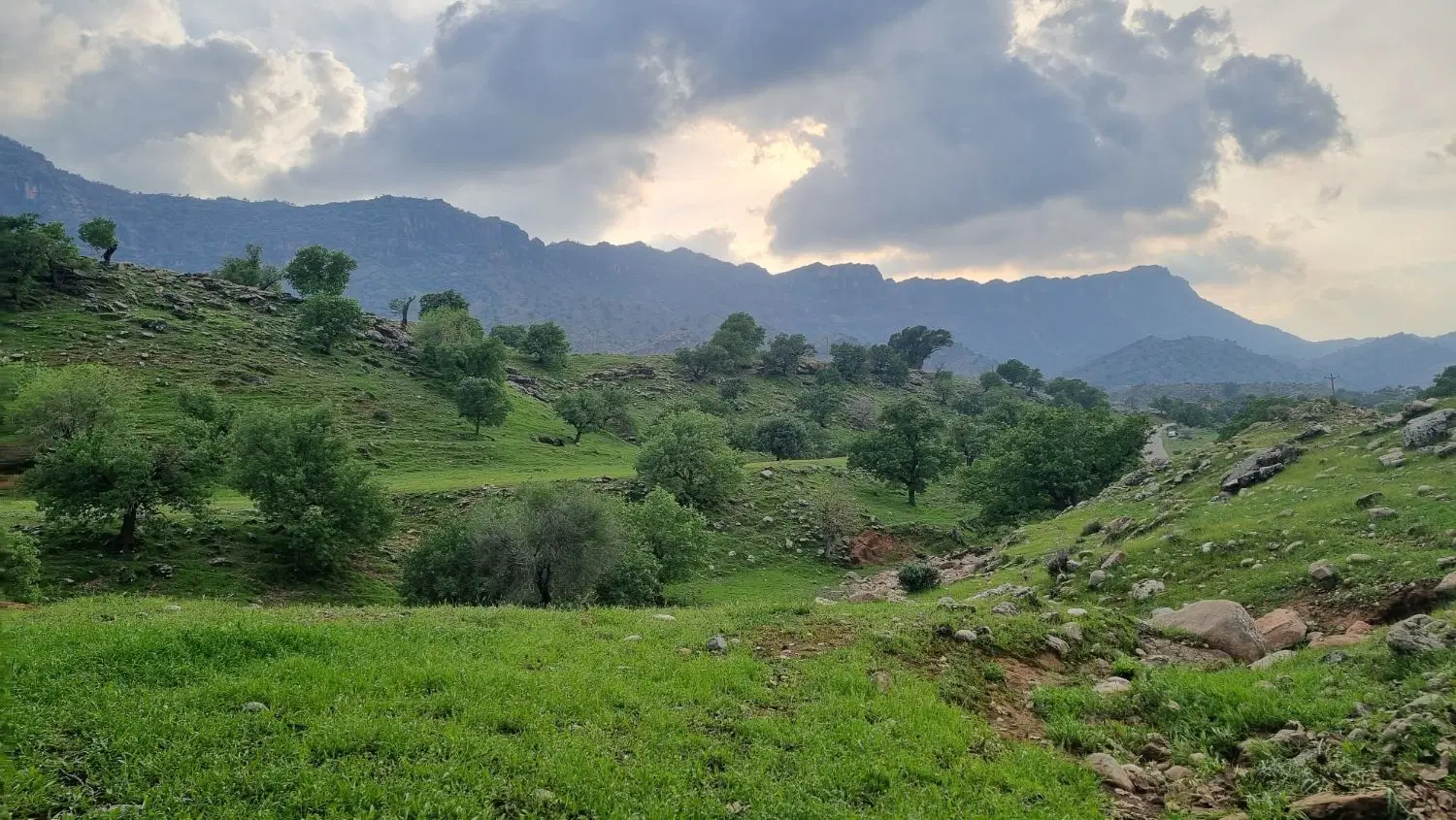 زمین باغ معاوضه