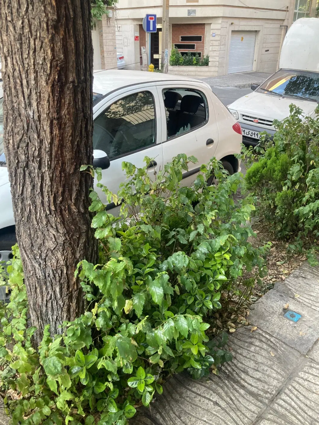 یک واحد زیرزمین ۳۵ متری