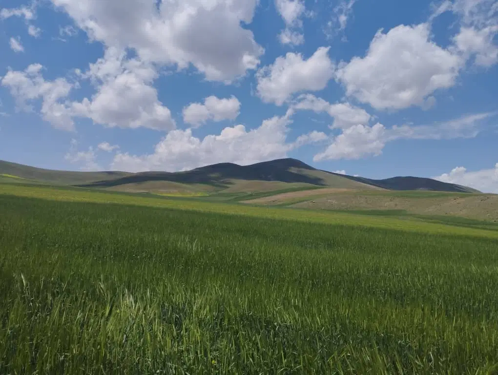 قطعه زمین مسکونی در اناخاتون