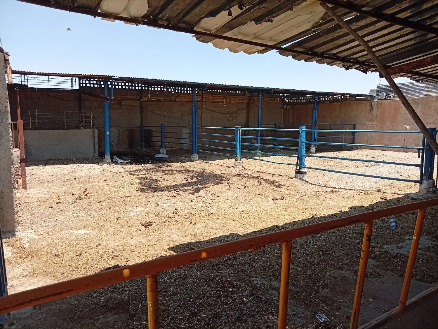 گاوداری