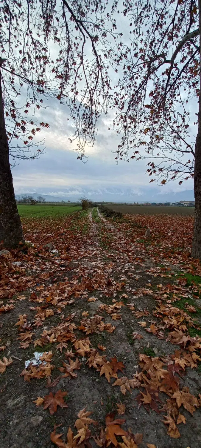 زمین بر اتوبان گرگان کردکوی