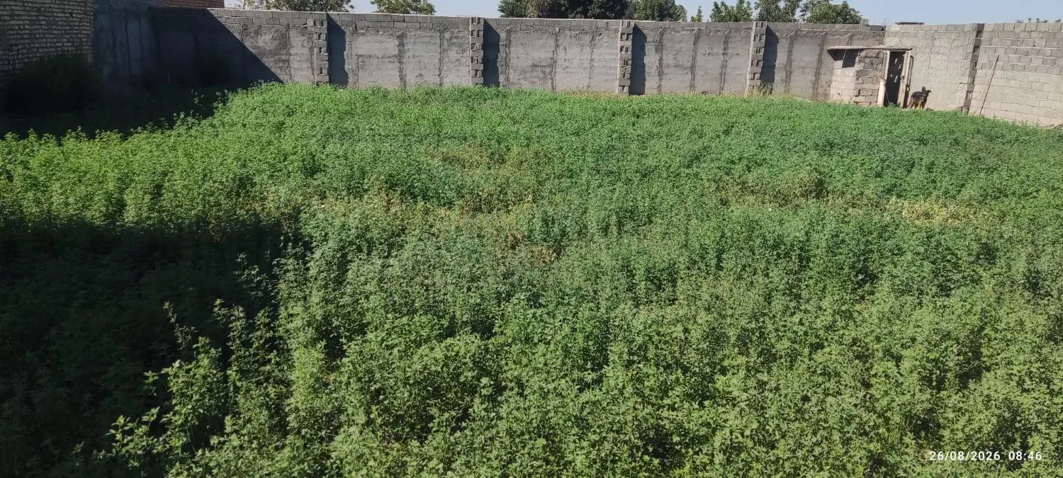 خانه باغ ویلا بخون و لذت ببر حتی اگه خریدار نیستی