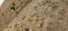 زمین مارالان محدوده شهرک آزمایش