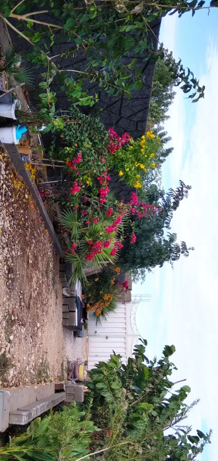 خونه باغ خیابان گلستان