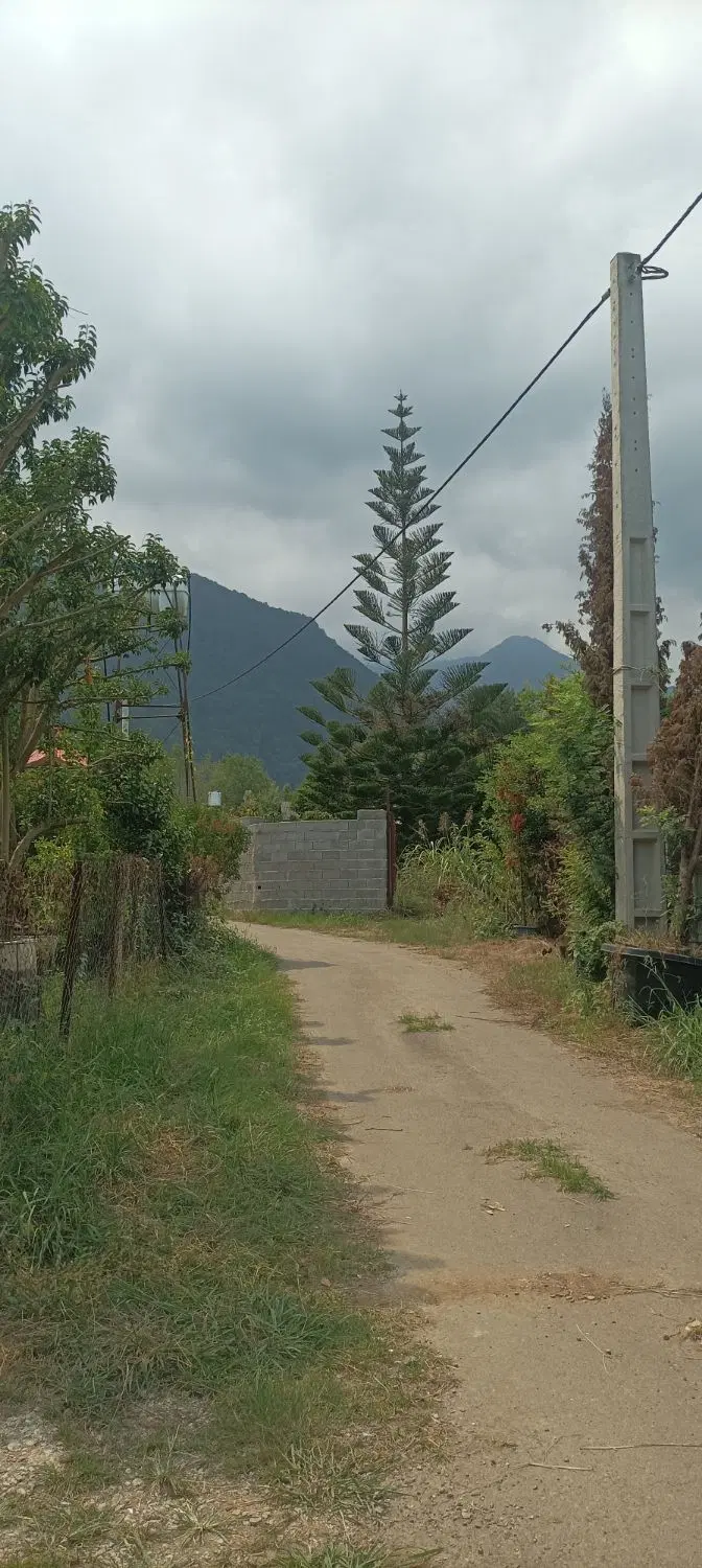 ۳۵۰متر زمین مسکونی ویودار