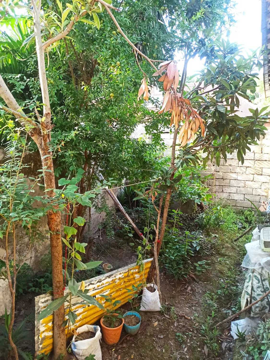 خانه ویلایی واقع در رشت