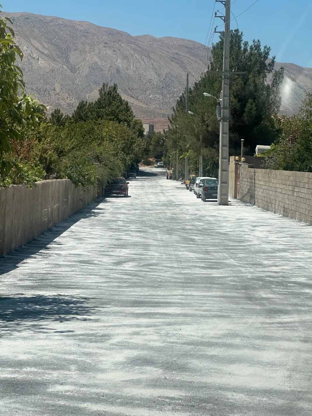 فروش زمین باغی
