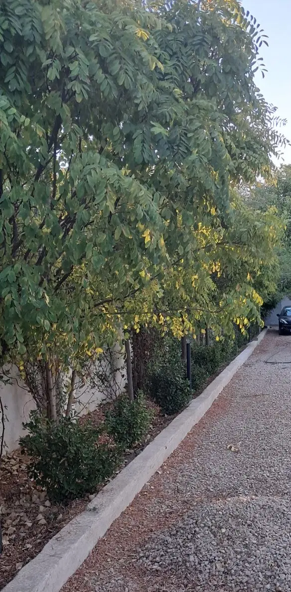 باغ جاده سلامت
