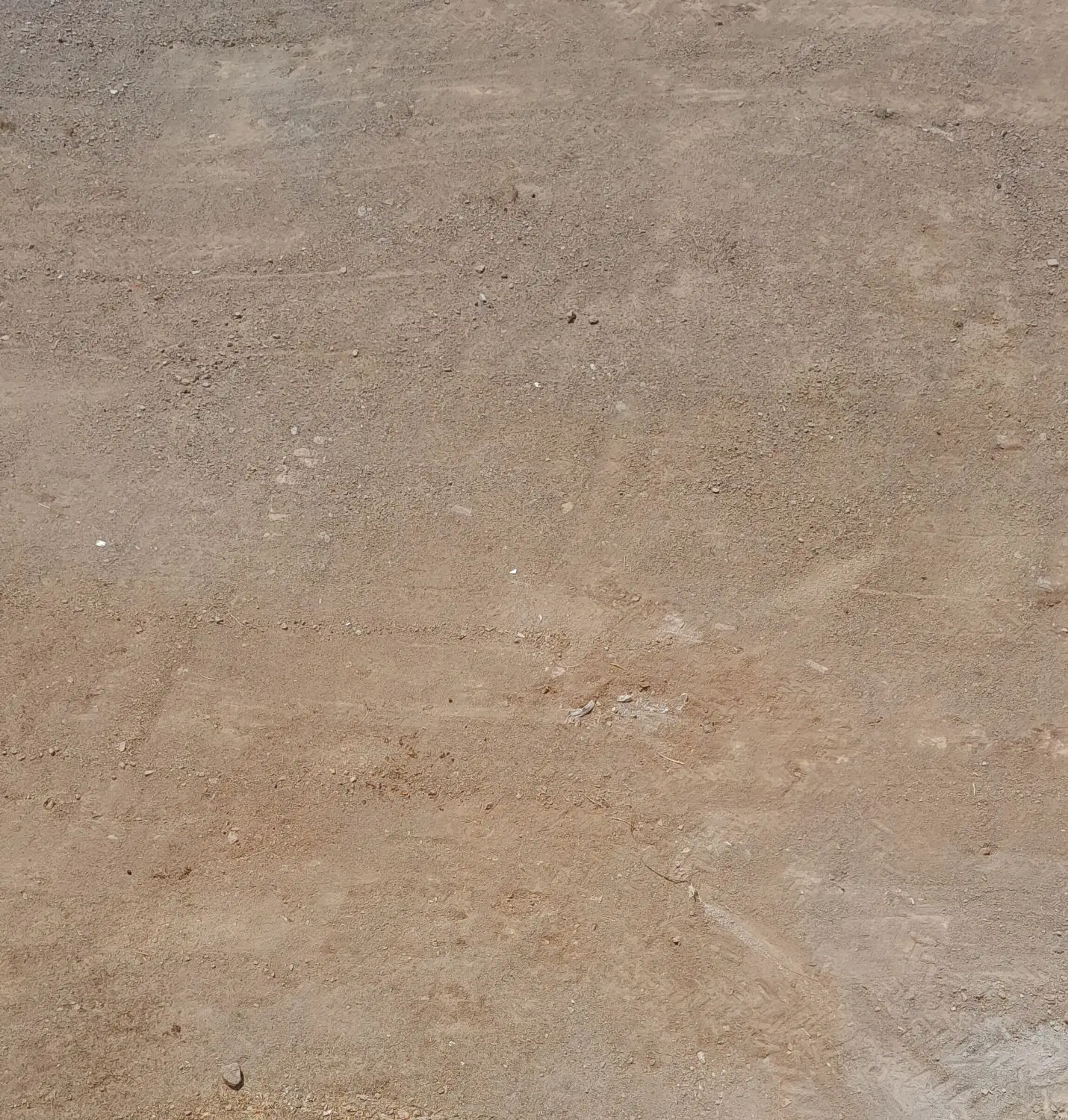 زمین مسکونی