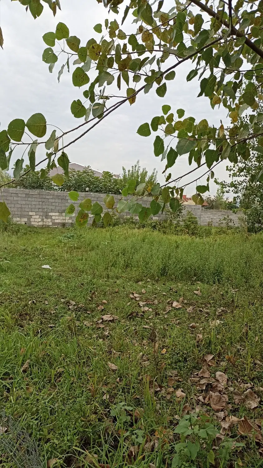 فروش زمین