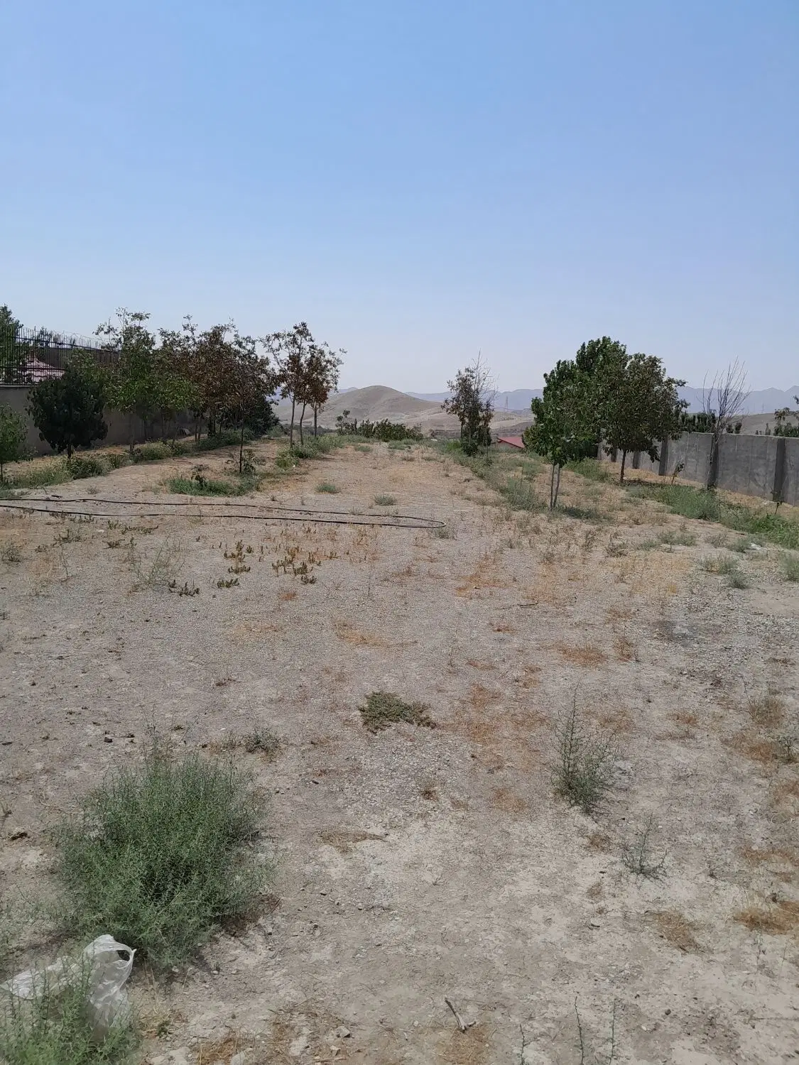 فروش باغ چهاردیواری