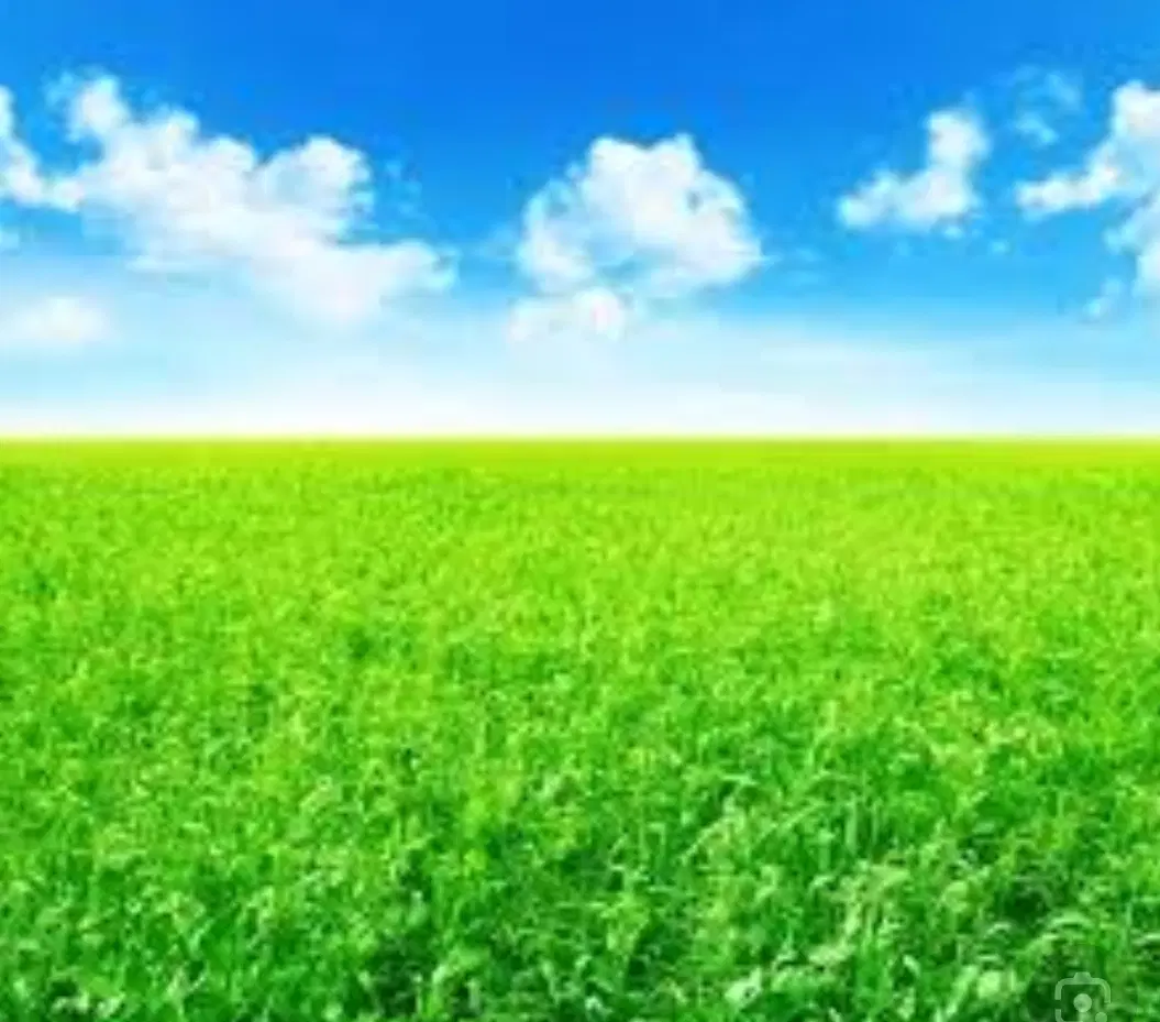 زمین باغی
