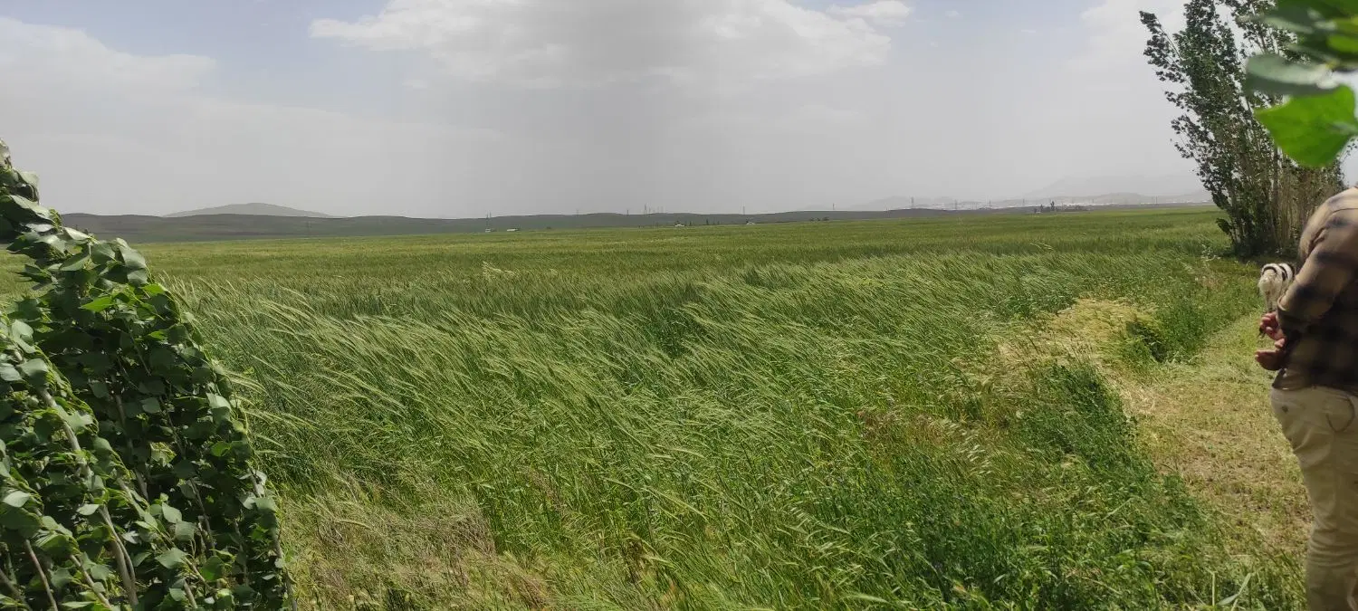 سی هکتار زمین کشاورزی سندششدانگ