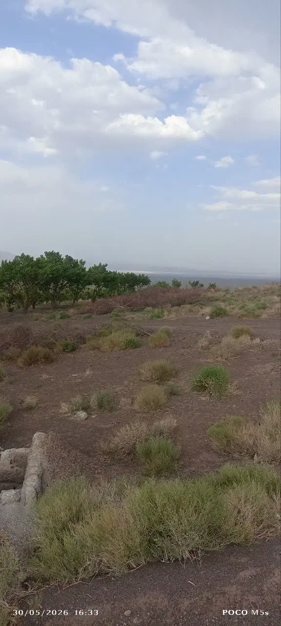 دوحبه قنات راین