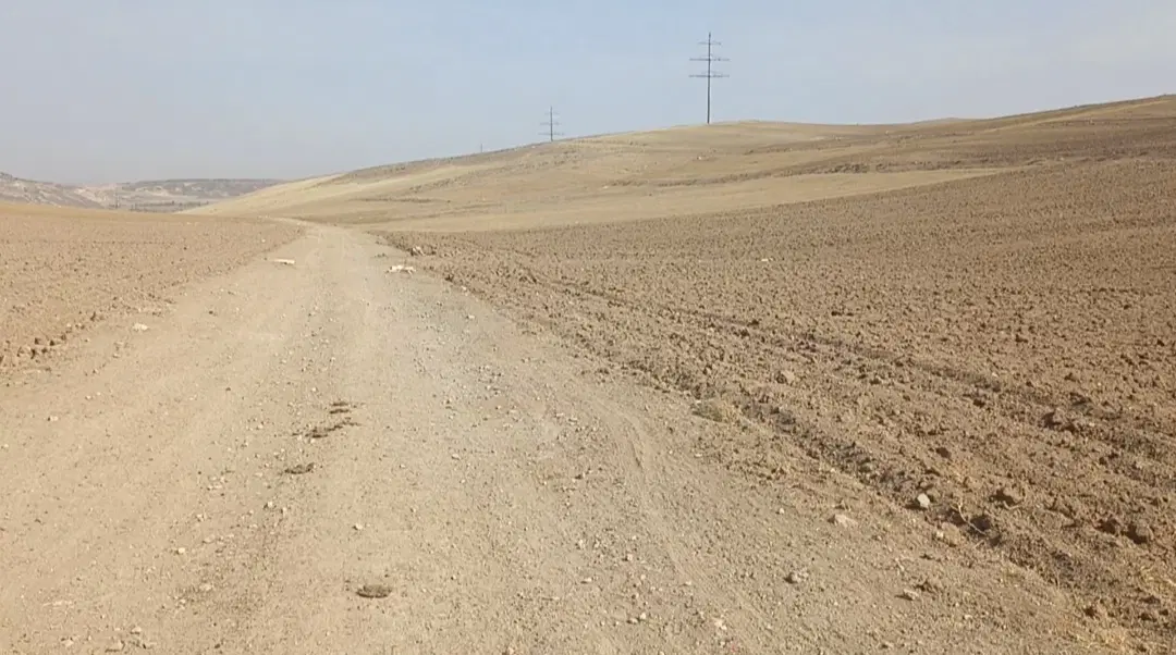 زمین در شام اسبی