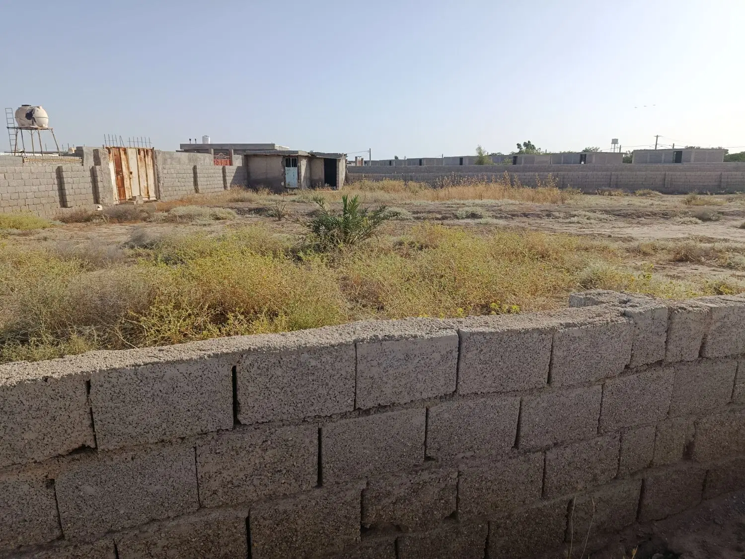 زمین باغی چاهبردی