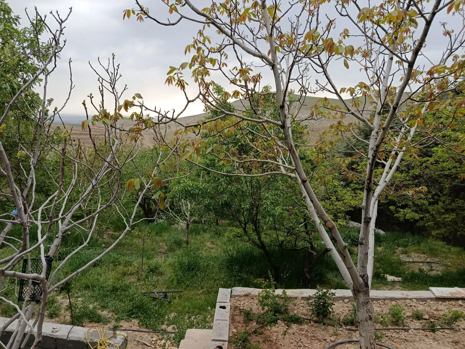 باغ ۱۰۰۰ متری عبدل آباد شهرک  کوهپایه