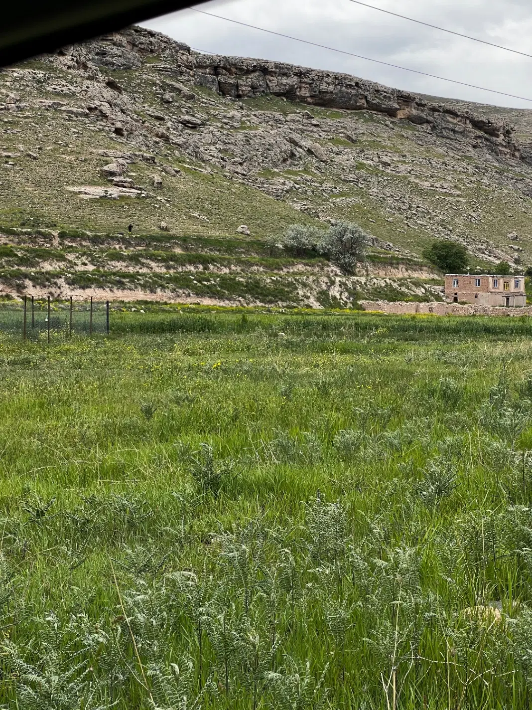 زمین زراعی
