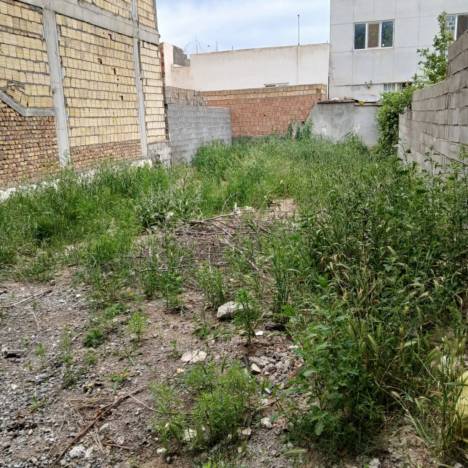 زمین خیابان دولت