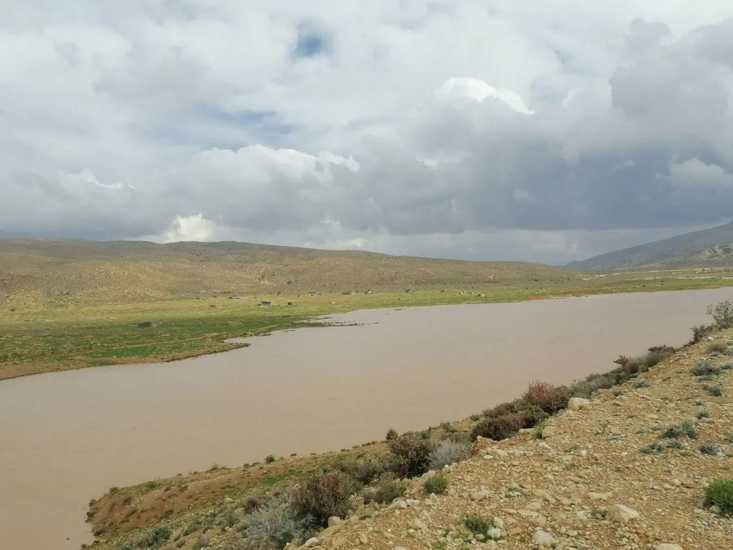 زمین انجیر