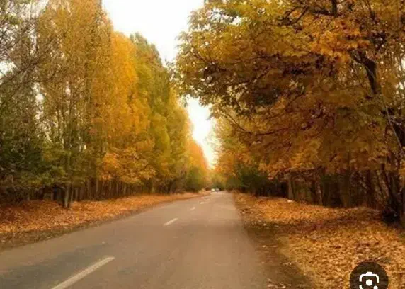 ۱۸۰۰ متر زمین داسداران