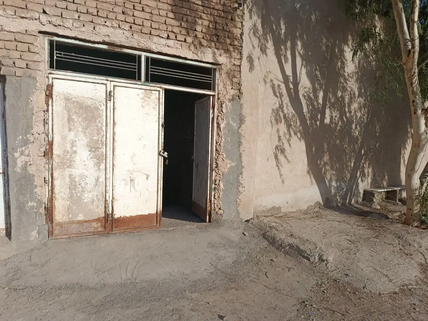 فیش مسکن