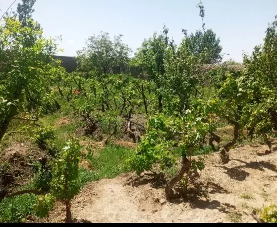 فروش فوری باغ خانه ویلایی نقطه امن در شرایط حال