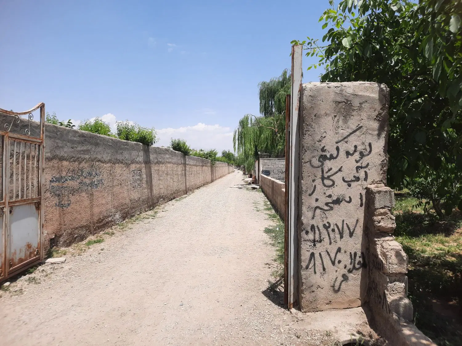 باغچه ۵۰۰ متری چهار دیواری قاسم اباد بزرگ